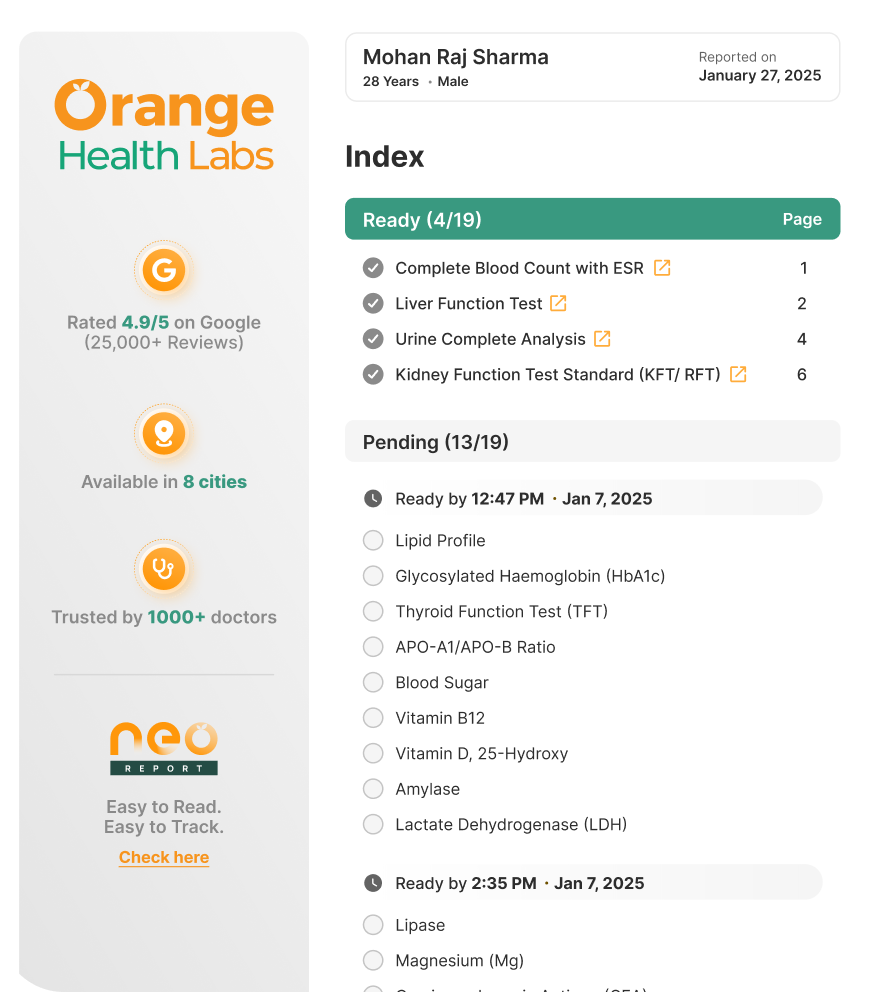 PDF Reports