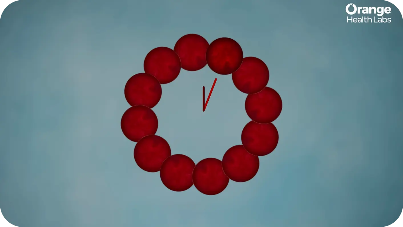 promotional video